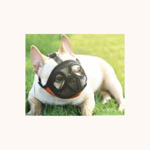 Bozal anatómico envolvente para perros con hocico corto