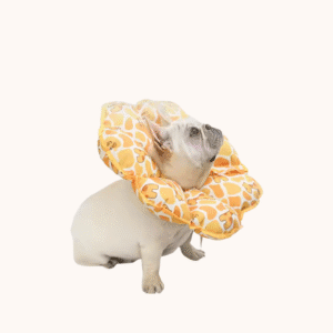 Collar isabelino suave acolchado tipo sunflower