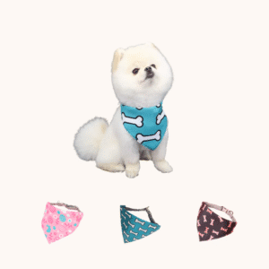 Bandana pañuelo con collar ajustable