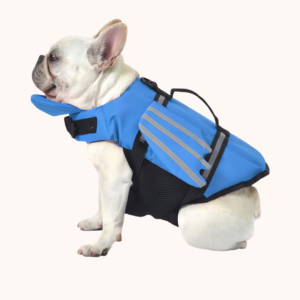 Chaleco salvavidas con alitas